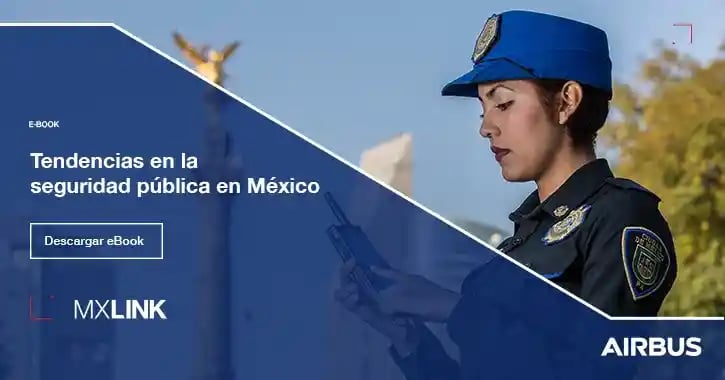 eBook - Tendencias en la seguridad pública en México